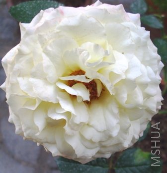 ��Ƭ 073.jpg