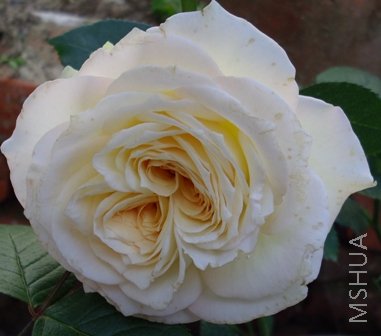 ��Ƭ 072.jpg