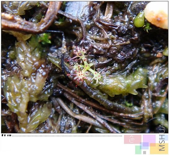 �ϸ�����ģ�é��ˣ��������Σ�������ڳɹ��ˣ�D