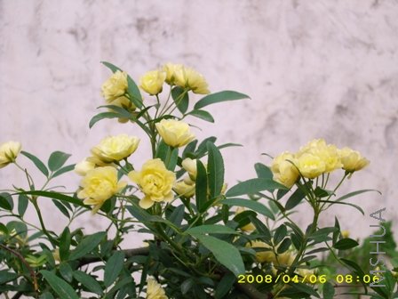 ��Ƭ 038.jpg