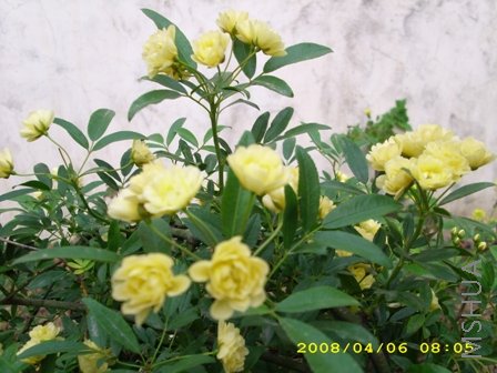 ��Ƭ 037.jpg