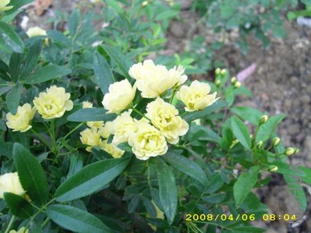 ��Ƭ 034.jpg