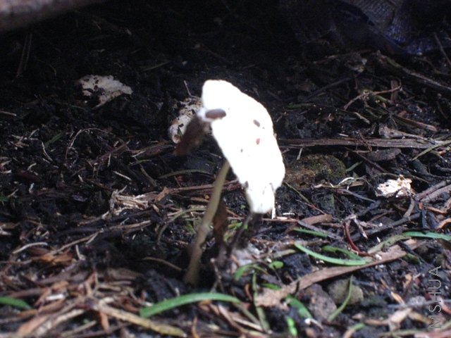 200808 262.jpg