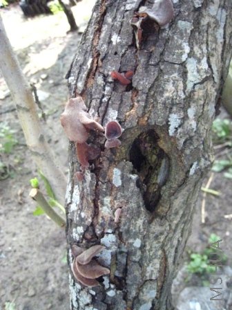 200808 275.jpg