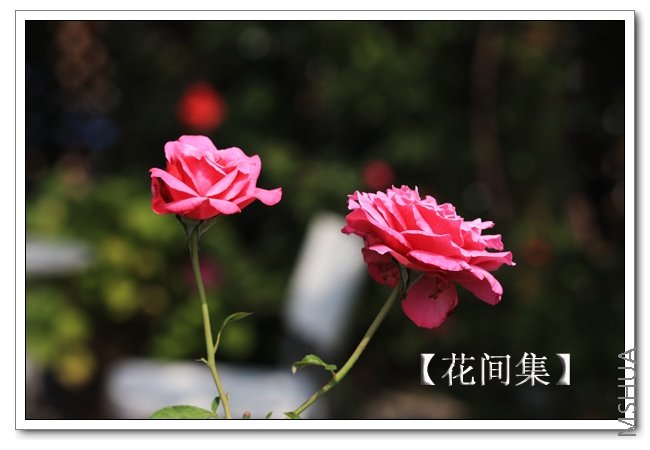 IMG_7642 ����.jpg