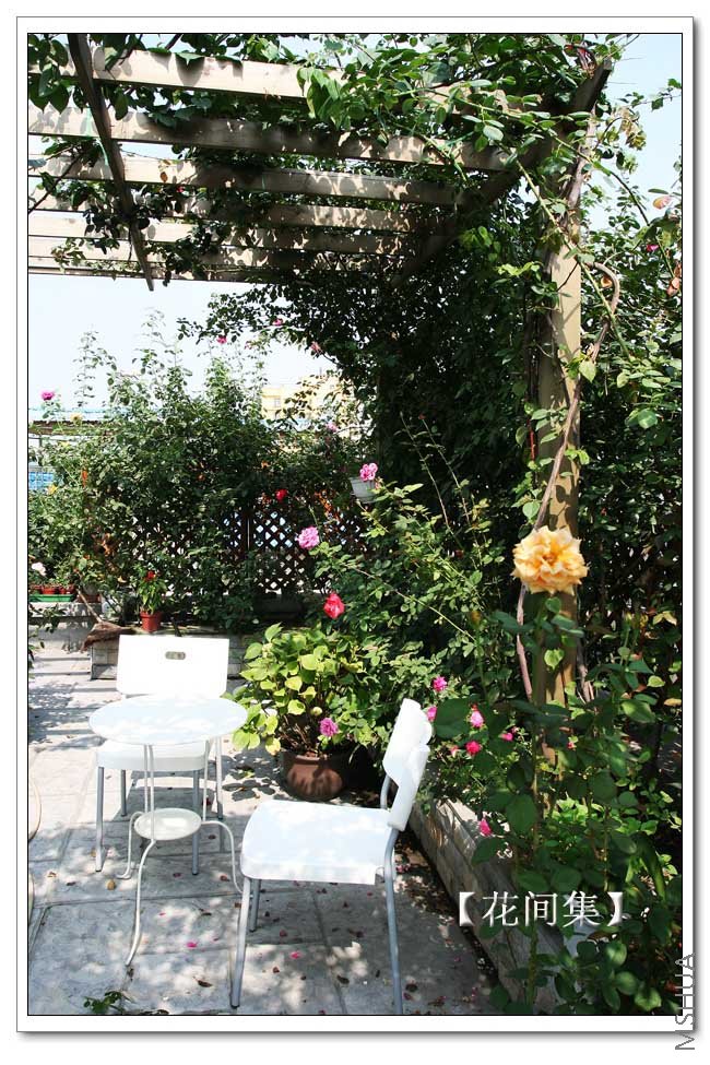 IMG_4410 ����.jpg