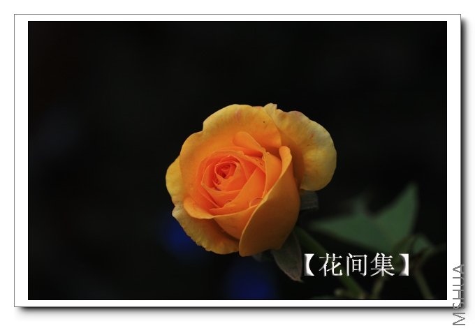 IMG_7624 ����.jpg