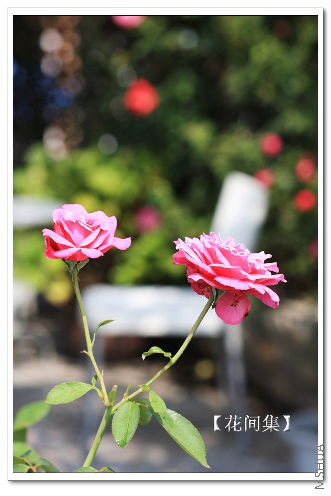 IMG_7647 ����.jpg