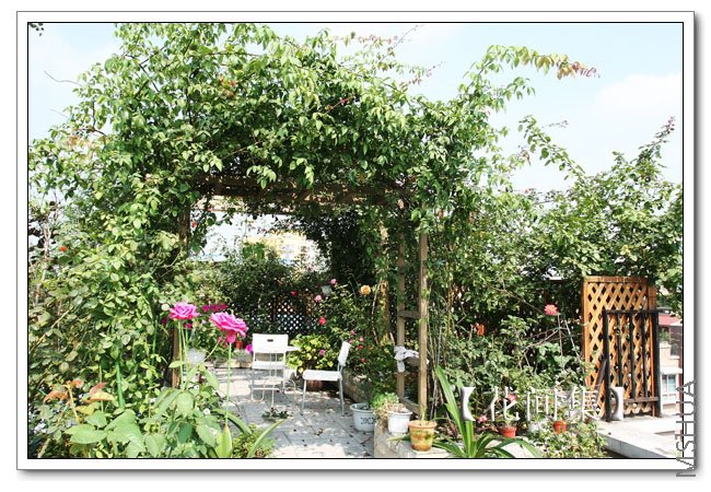 IMG_4413 ����.jpg