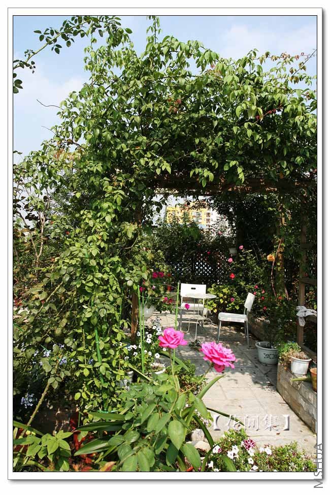 IMG_4411 ����.jpg