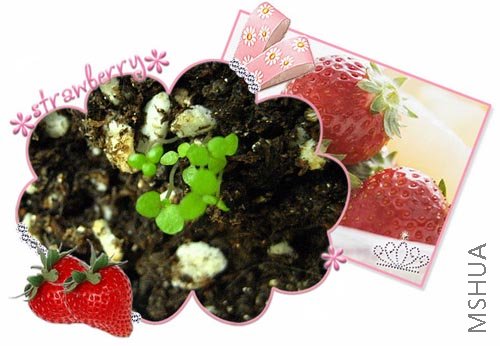 С��-----���µ�,�ٶ�Ҳ�����Ĺ����Ե���,�����Ǽ���һ���泤������