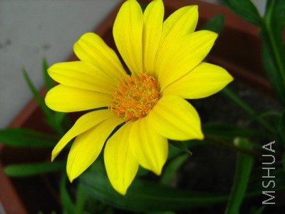 ���� 1700.jpg