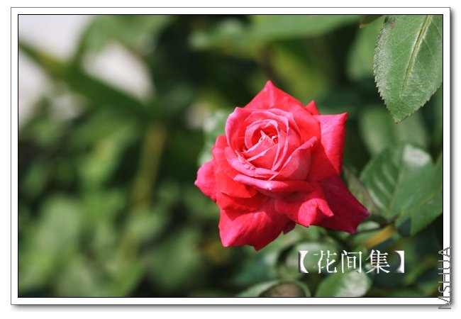 IMG_7645 ����.jpg