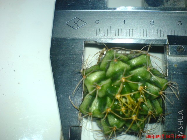 DSC01175.JPG