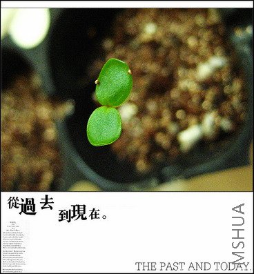 Ӧ��Ҳ������Ƶ�һ�ְɣ��ȣϣȣϣ���Ϲ��