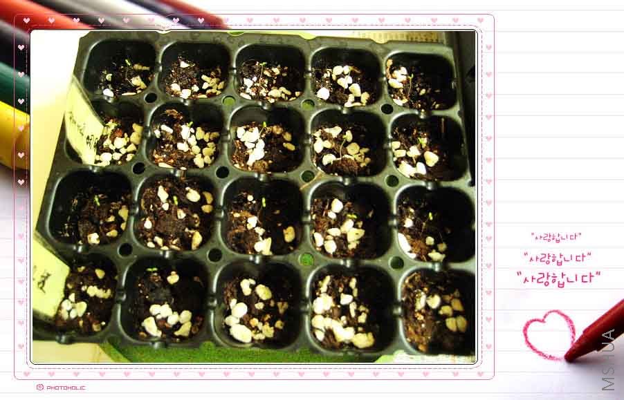 ������ɫ:��֬��ͳ�ɫ~~~