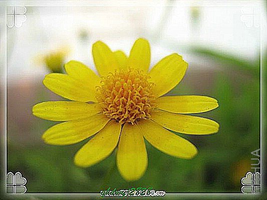 ���� 2049.jpg