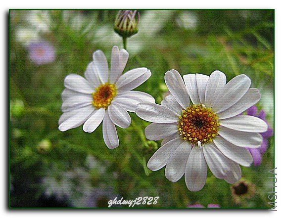 ���� 2022.jpg