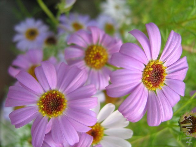 ���� 2023.jpg