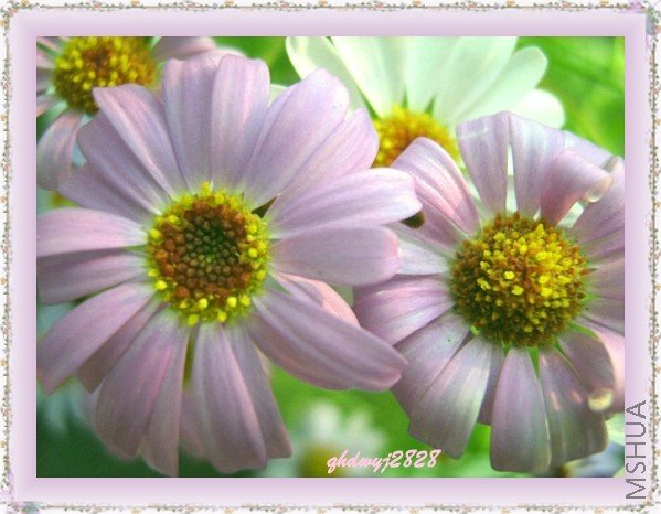 ���� 2032.jpg