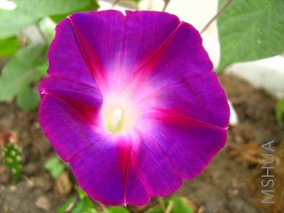 û�����Լ���������