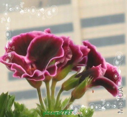 ���� 2073.jpg