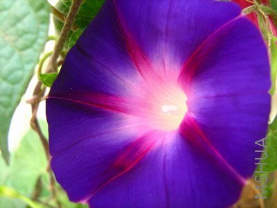 ���� 1834.jpg