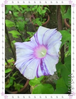 ���Ǳ����͵��ɷ磬���Ǹо����׹����ƣ����ϵ��ɷ�����ɫ���ƣ�����е���