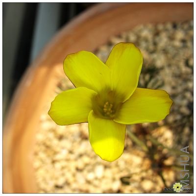 ��Ƭ 401674.jpg