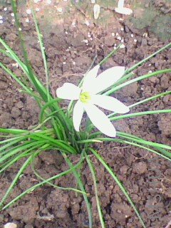 IMG0244A.jpg
