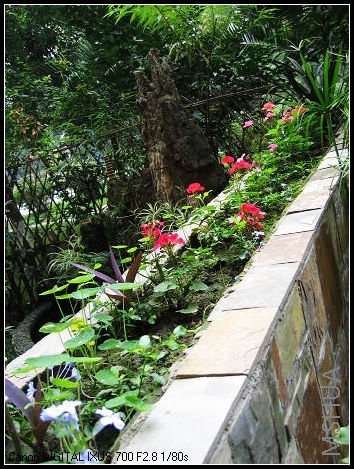 ��ǽ�ϵ����ÿ�