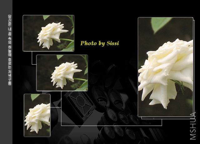 ��̨����¼��ͷ�ɣ���ڿ���~