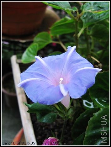 ����ǣţ��