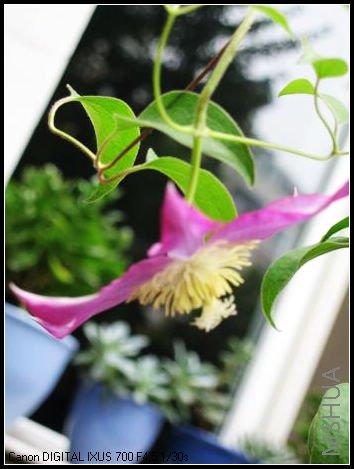 �����������ˣ�ȴ�ֿ���һ����������