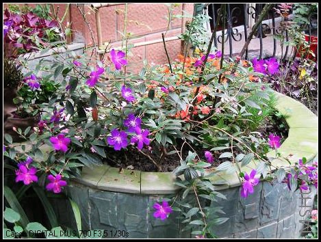 ��ĵ���ĵڶ���