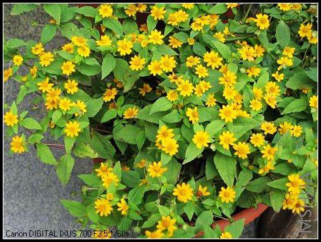 ���ֻ�һ����Ȼ�����ۣ���һ����ͺ���ζ��