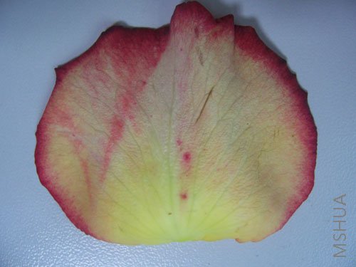 100_4169.JPG