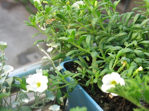 BigBull_��Ƭ 021.jpg