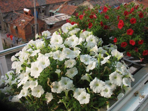 BigBull_��Ƭ 031.jpg