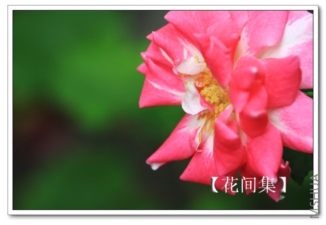 IMG_7660 ����.jpg