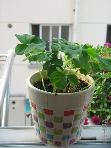 tido����˵��������ȣ��������Ҽһ��������ˣ��ո�˯��