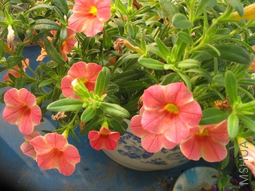 BigBull_��Ƭ 012.jpg