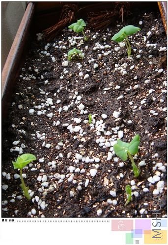 ܽ�أ�ϣ�������ܳ���һ���裬�Ǻ�