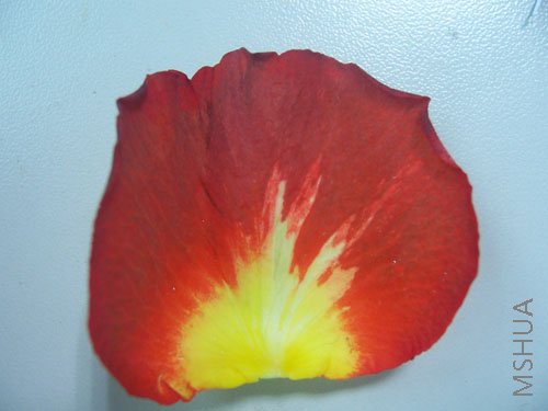 100_4170.JPG