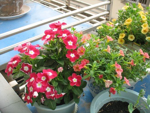 BigBull_��Ƭ 421.jpg