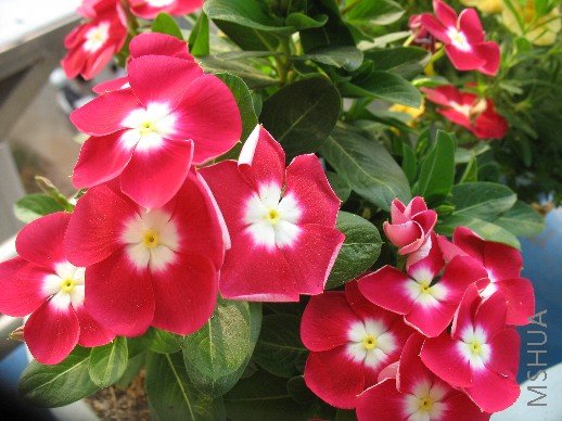 BigBull_��Ƭ 035.jpg