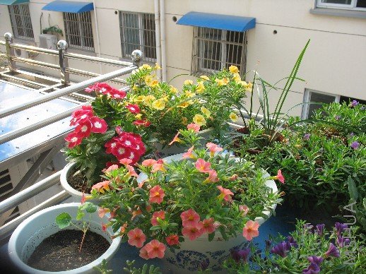 BigBull_��Ƭ 011.jpg