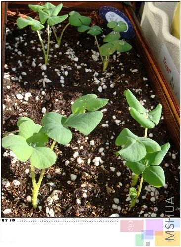 ܽ�������������л������������Ҷܽ�ػ�ûȥ�ù��������ڴ�лл���䣺��