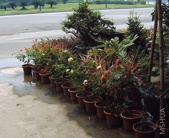 IMG02125.JPG