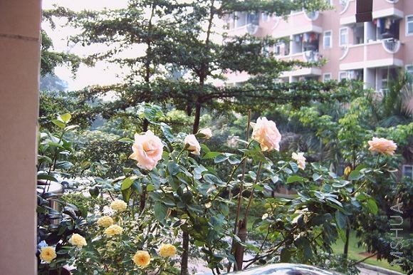 IMG02186.JPG